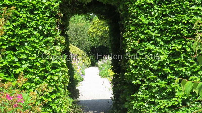 Mount Usher - L